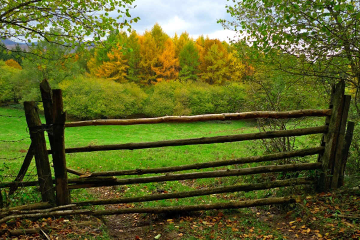Zonas de pasto de Aralar