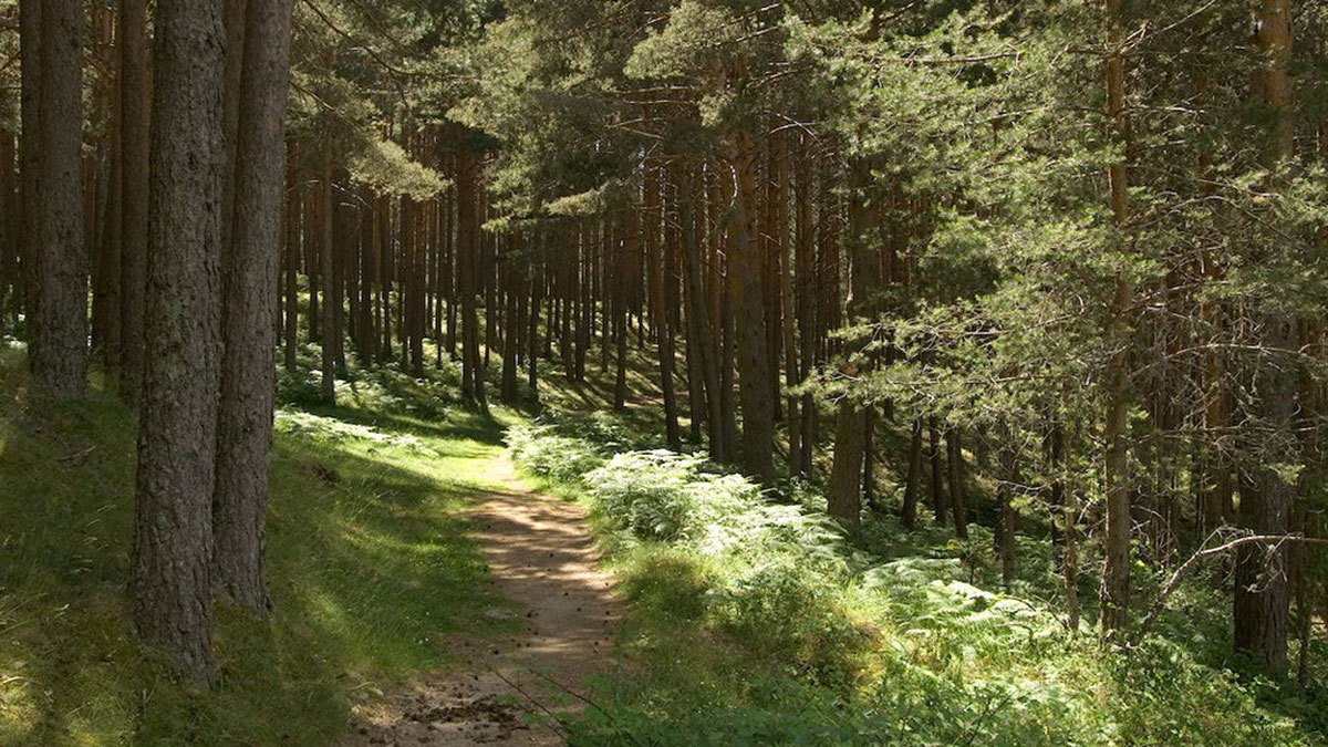 Sendero de la ruta de la Boca del Asno