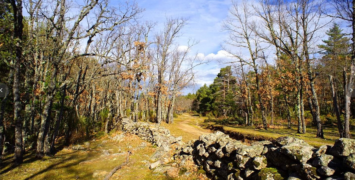 Paisaje de angostura