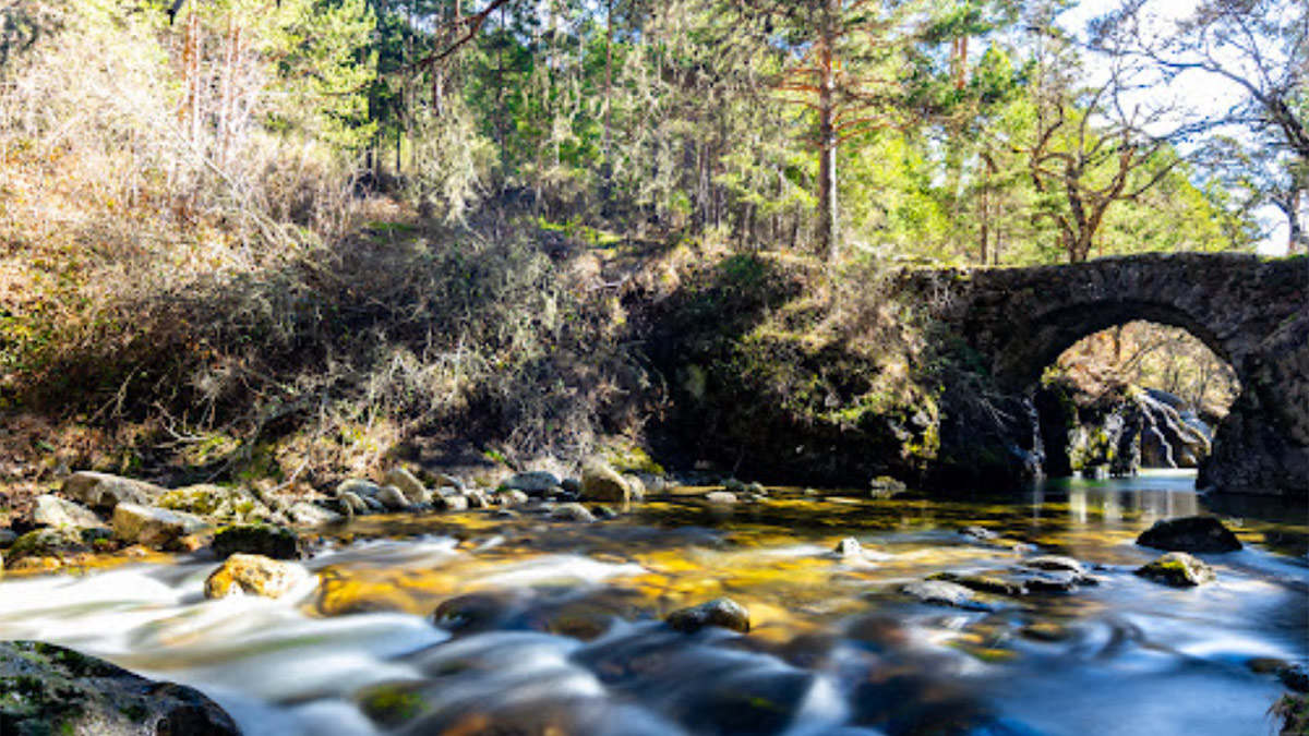 Zona del puente de angostura