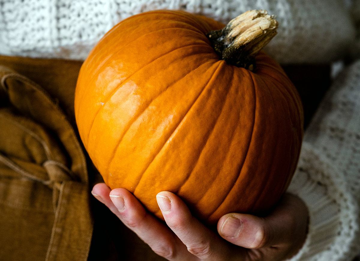 Calabaza