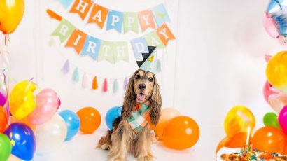 Cómo calcular la edad humana de tu perro correctamente.