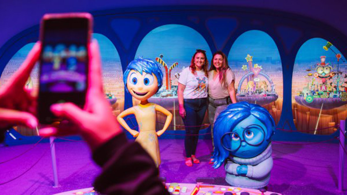 Película del Revés