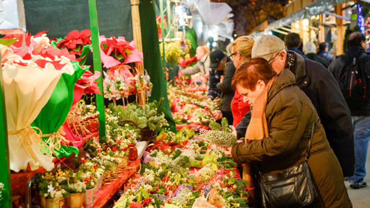 Puesto de plantas en la Sagrada Familia