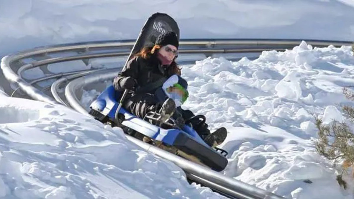 Trineo ruso en marcha