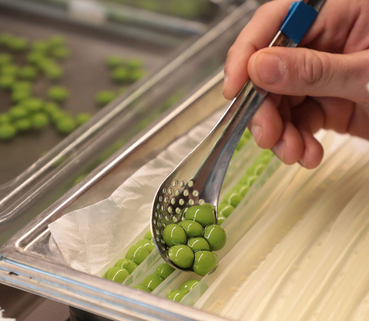 Preparación de esferas