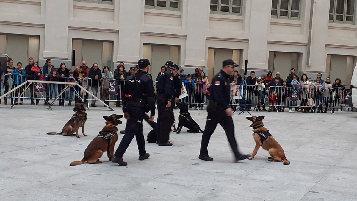 Policía con perros