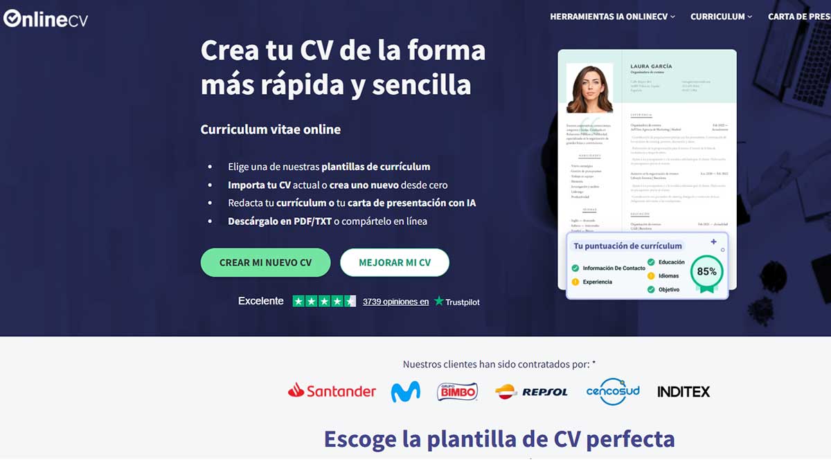 Portada de Online CV