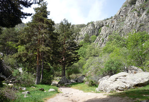 Sendero cascadas