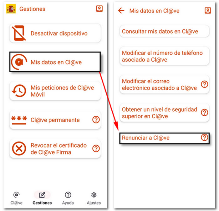 Gestiones de renuncia