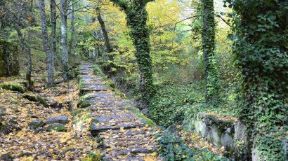 Ruta por el pinar de abantos