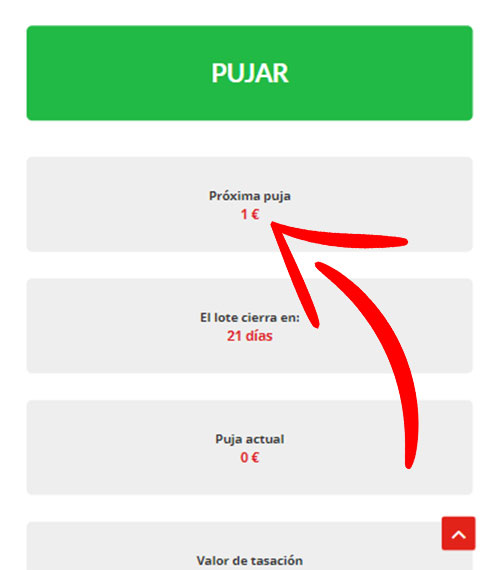 Subastas por un euro