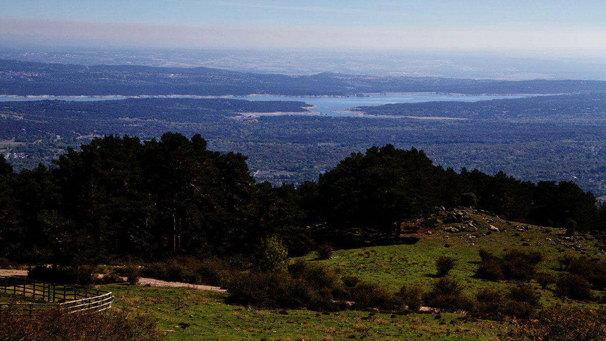Vistas punto más alto