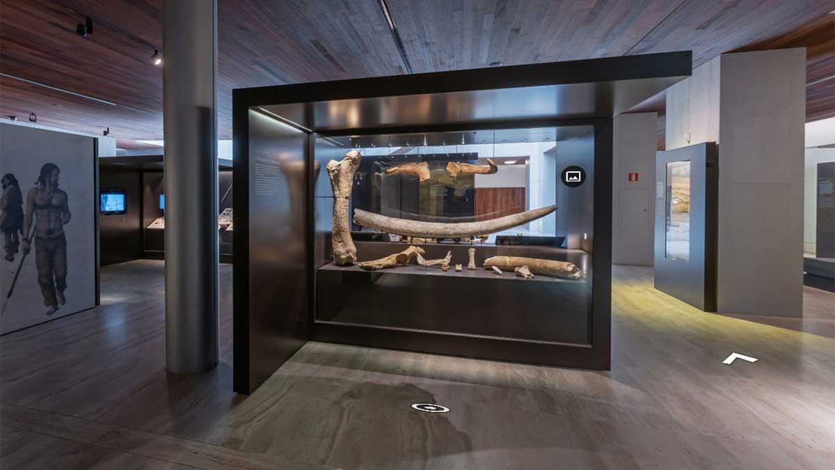 Piezas de exposiciones