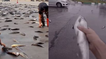 Lluvia de peces: este es el increíble fenómeno natural que ocurre cuando hay tornados