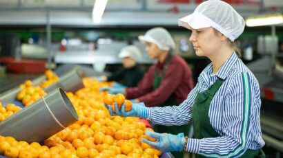 Una trabajadora selecciona la fruta según su tamaño.