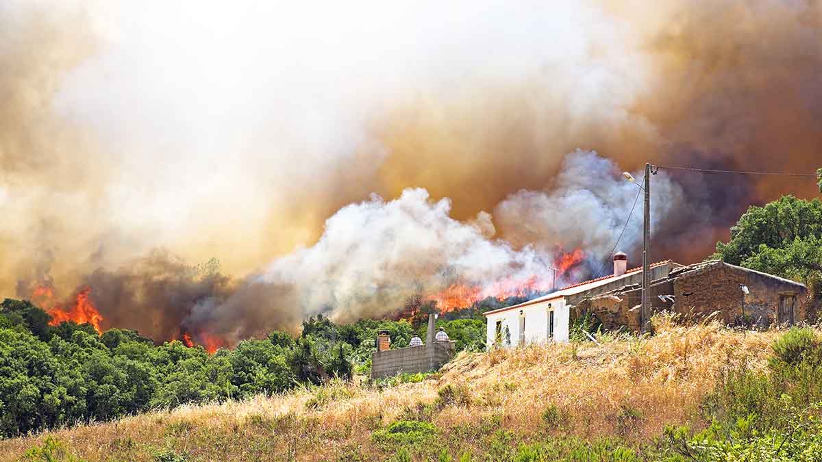 Viviendas afectadas por incendios forestales.