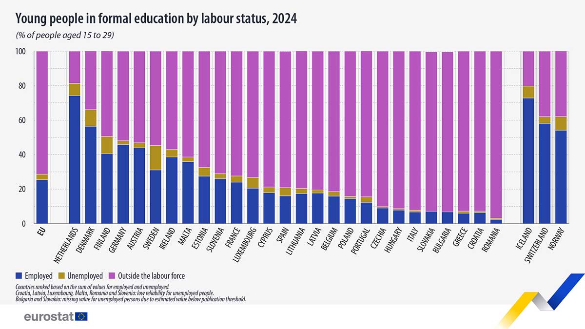 Gráfico con la relación de jóvenes que estudian y trabajan en 2024.
