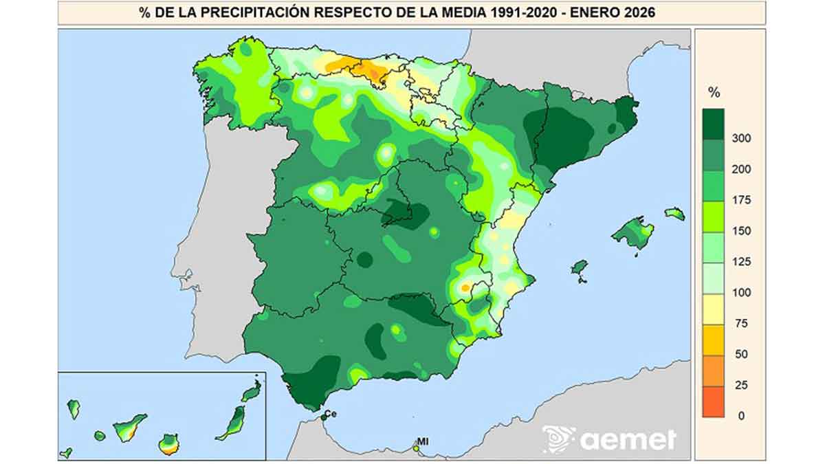 Porcentaje de incremento de lluvias en el mes de enero de 2026 respecto a años previos.