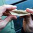 El estudio de las aguas residuales revela qué drogas se consumen más en Madrid según el día de la semana
