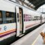 Ya puedes viajar en Renfe con perros de hasta 40 kilos, pero los expertos recuerdan la documentación que debes llevar