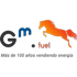 Logo de la gasolinera GM FUEL STATIONS